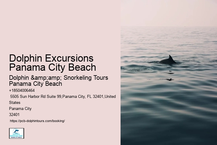 Ensure Your Spot On A Guided Dolphin Tour For A Memorable Experience In Panama City Beach