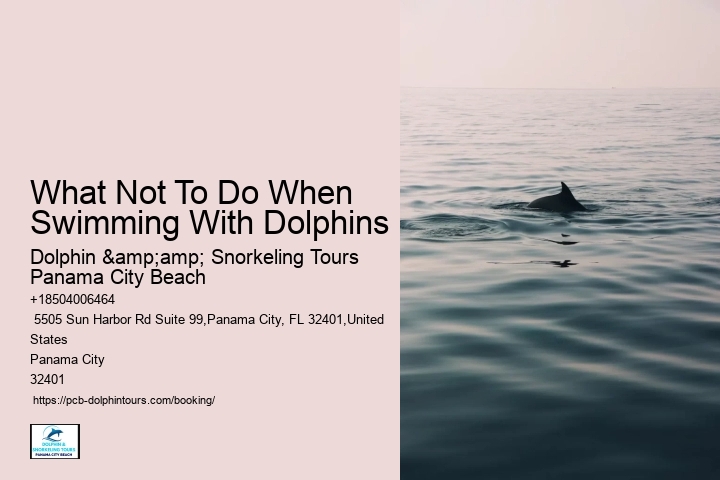 What Does Dolphin Cove Offers