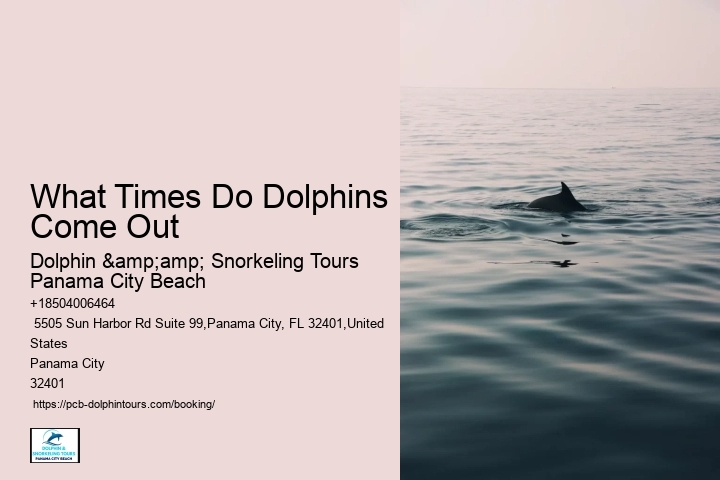 Panama City Beach Snorkeling Tours Florida
